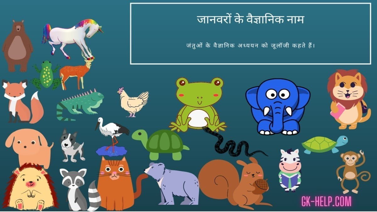Scientific Name of Animals in Hindi: जानवरों के वैज्ञानिक नाम क्या है? - GK  Help