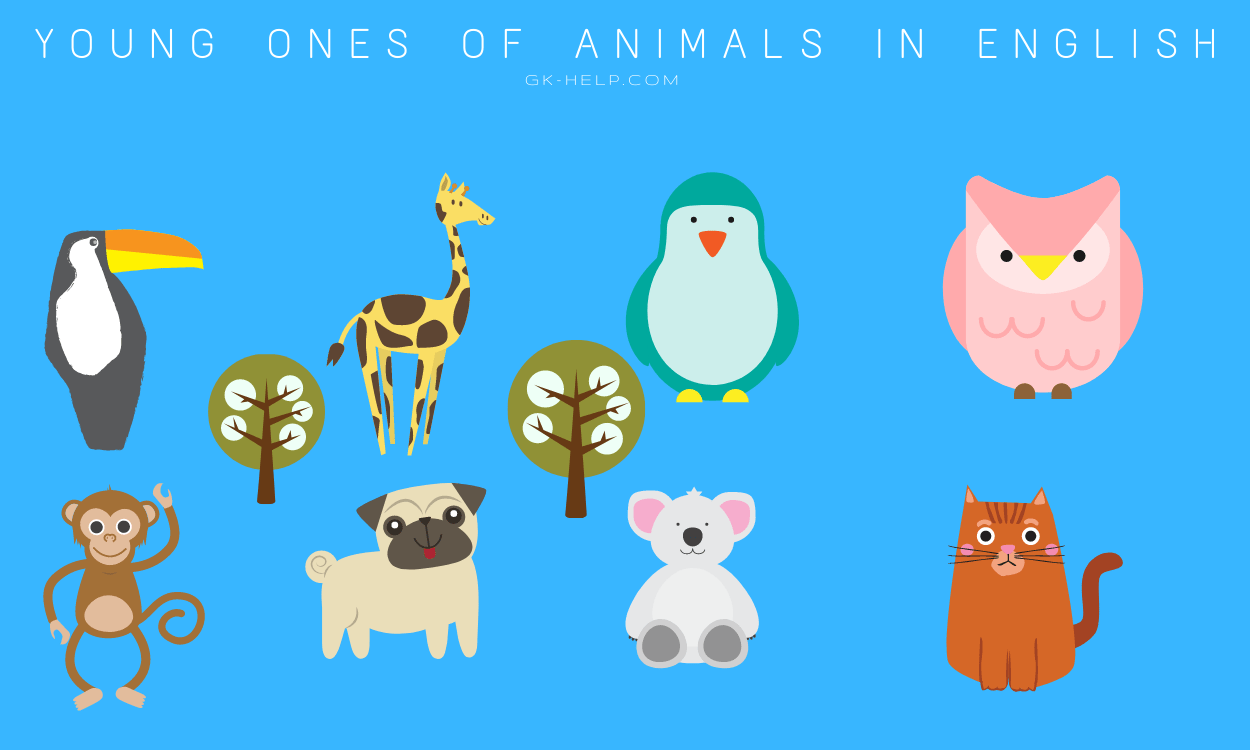 Young ones of Animals in English: हिंदी और इंग्लिश में जानवरो के नाम - GK  Help