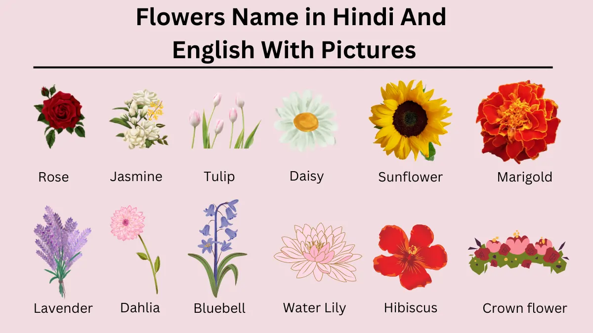 Flowers Name In Hindi And English With